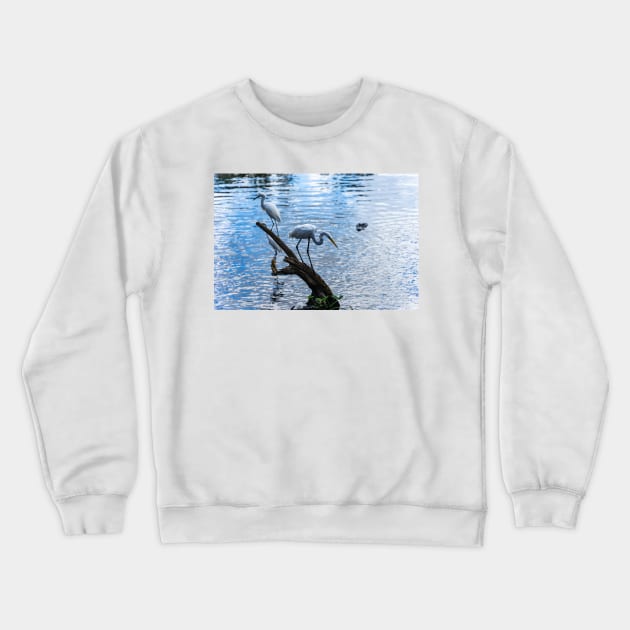 Great white egret and a Snowy egret Crewneck Sweatshirt by KensLensDesigns